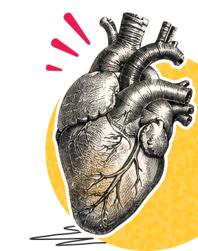 heart